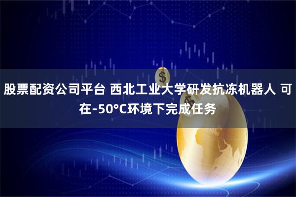股票配资公司平台 西北工业大学研发抗冻机器人 可在-50°C环境下完成任务