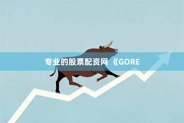 专业的股票配资网 《GORE